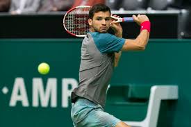 Снимка : ABN AMRO World Tennis Tournament